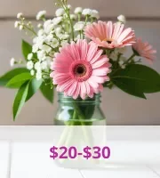 $20 - $30