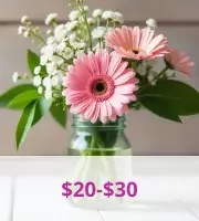 20$ - 30$ 