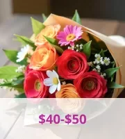 $40 - $50