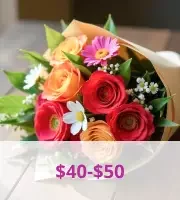 40$ - 50$