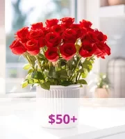 $50 and up