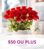 50$ ou Plus 