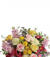 Anniversary Designer Collection 