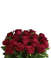 Fleurs d'anniversaire