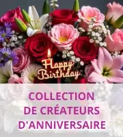 Collection de créateurs d'anniversaire