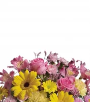 Fleurs d'anniversaire