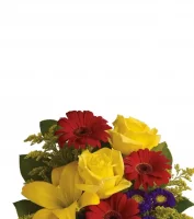 Collection Chope dAnniversaire