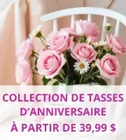 Collection Chope dAnniversaire