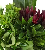 Bulk Greens