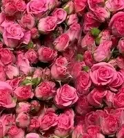 Mini Roses En Vrac