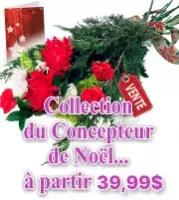 Collection de Créateurs de Noël