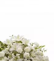 Casket and Funeral Sprays