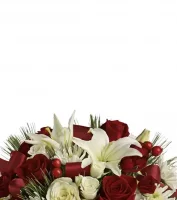 Centres de table de Noël