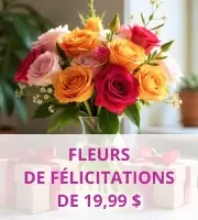 Fleurs & Cadeaux de félicitations