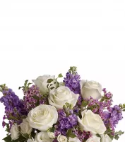 Congratulations Flowers & Gifts