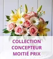 Collection Concepteur