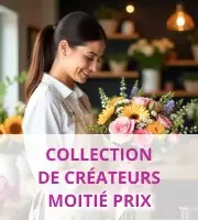 Collection Concepteur