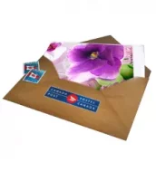 Card Extra Touches