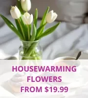 Housewarming Flowers & Gifts