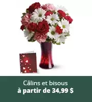 Câlins et bisous de la Saint-Valentin
