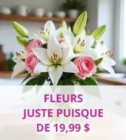 Juste Parce Que
