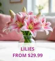 Lilies