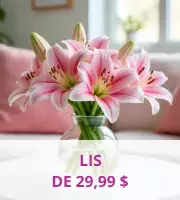 Fleurs de lys