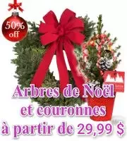 Mini Sapins et Couronnes de Noël en Direct