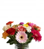 The Mason Jar Collection