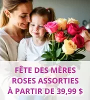 Roses assorties pour la fête des mères