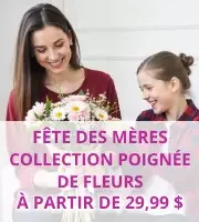 Collection poignée de fleurs pour la fête des mères