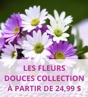 La collection de fleurs douces