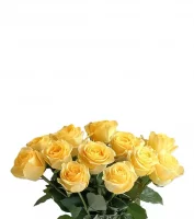 New Baby Flowers & Gifts