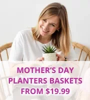 Mothers Day Flower & Planter Baskets 