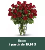 Roses de la Saint-Valentin