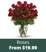 Valentine Roses