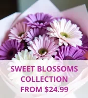 Sweet Blossoms Collection