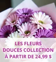 La collection de fleurs douces