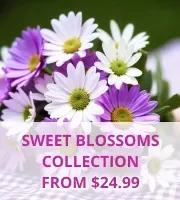Sweet Blossoms Collection