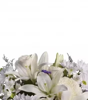 Sympathy & Funeral Flowers