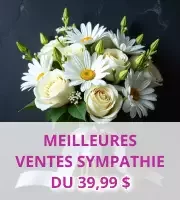 Meilleures Ventes Sympathie
