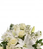 Designer Collection Sympathy Flowers
