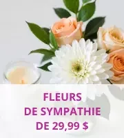 Fleurs de Sympathie