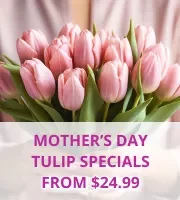 Mothers Day Tulips