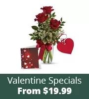 Valentine Specials