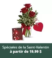 Les Spéciales de la Saint-Valentin