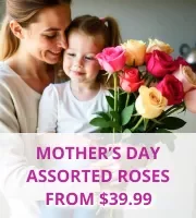 Mothers Day Assorted Roses