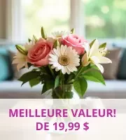 Meilleure Valeur