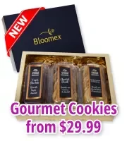 Christmas Gourmet Cookie Collection