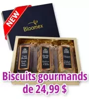 Collection de biscuits gourmands de Noël